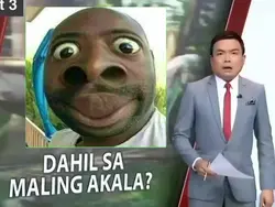 napagkamalang unggoy