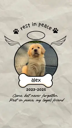 Rest in peace my dog