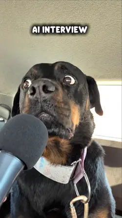 AI Interview 