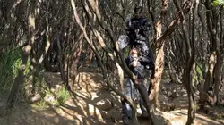 Sakading sakadung