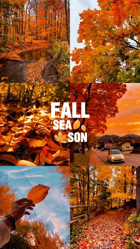 Fall Season 