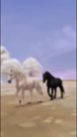 Percheron✨