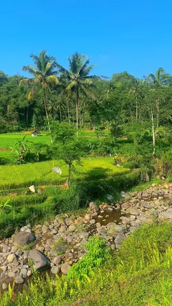 Lirikminang