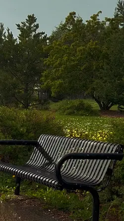 Rainy days