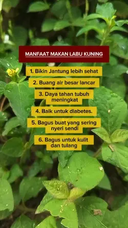 tips harian