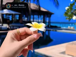 HD + JERNIH