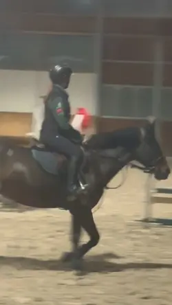 trying new barn!!
