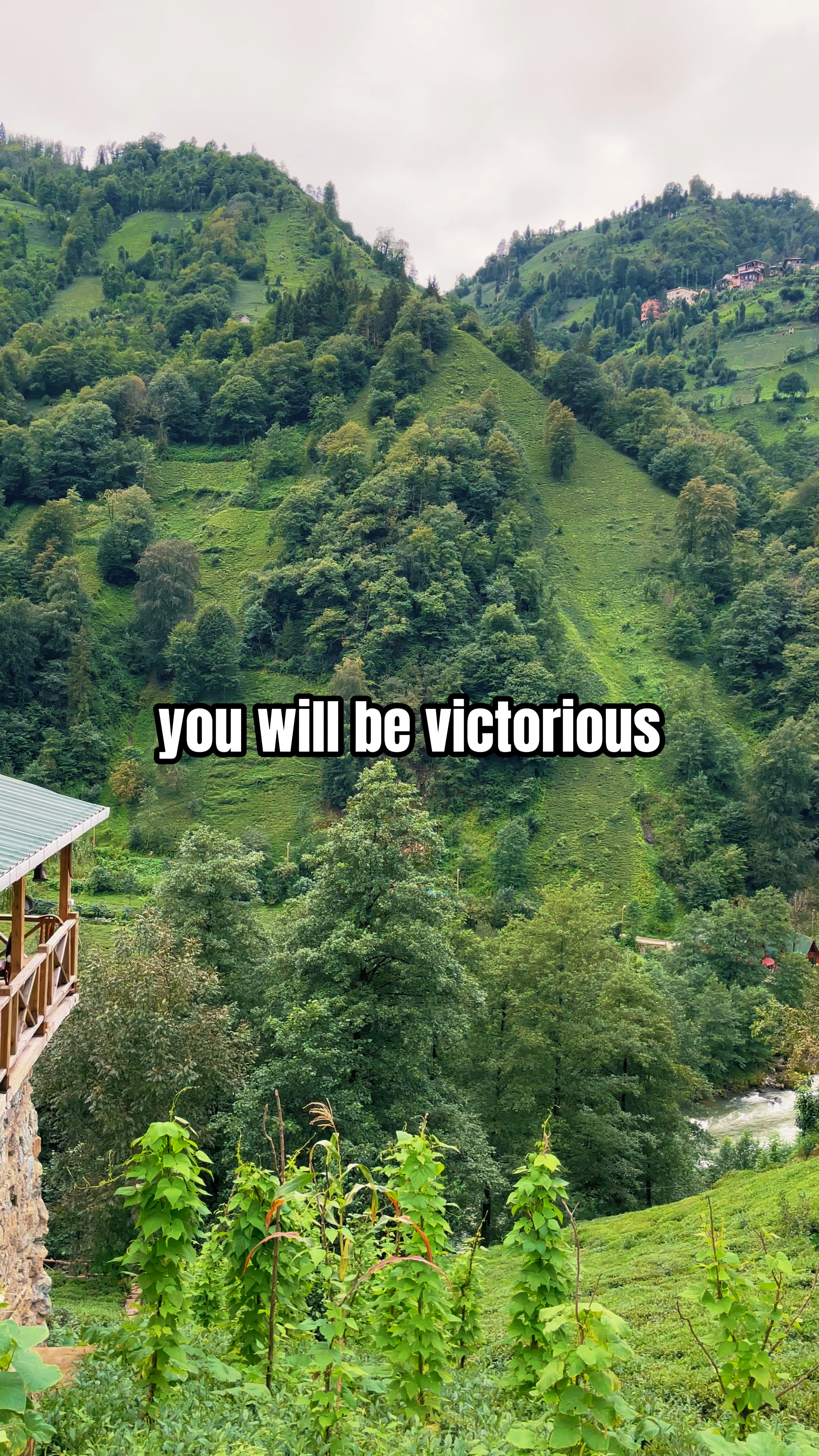 Allah says : 