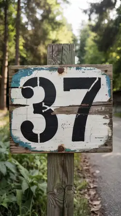 37
