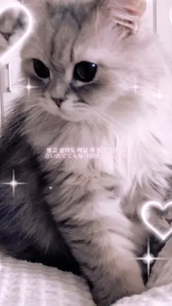 📸3枚!!┊︎You(I)