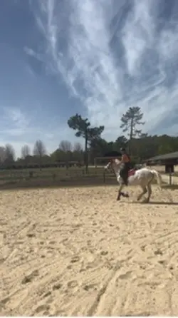Dimanche concours