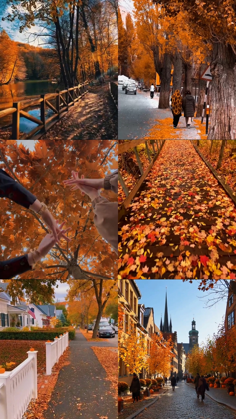 Autumn Leaves