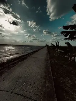 thay video