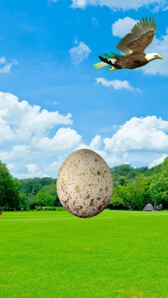 telur elang