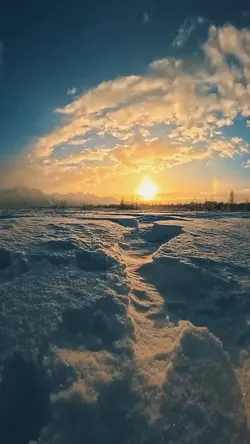 nature