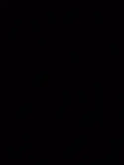 timurum
