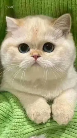 Ai Pet LipSync TREND