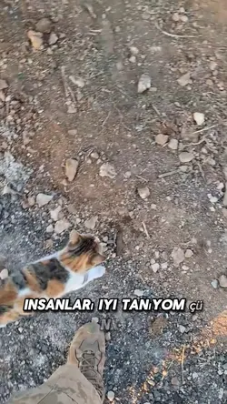 İnsanları iyi tanırm