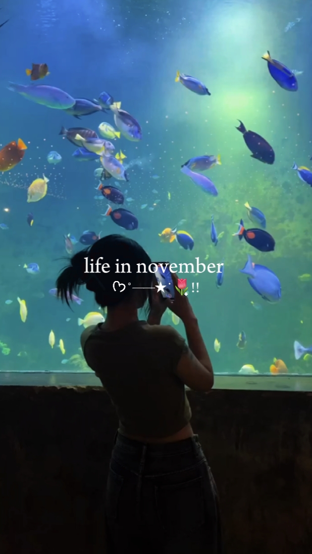 Vida en noviembre 