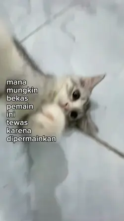 mana mungkin bekas 