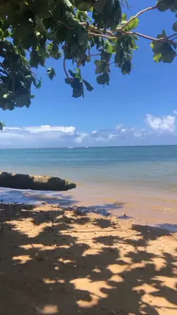 reggae | reggaemusic