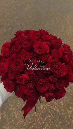 Chosen as my valenti