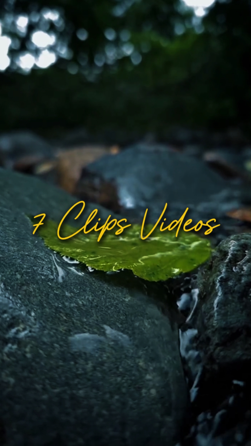 CINEMATIC 7 VIDEOS