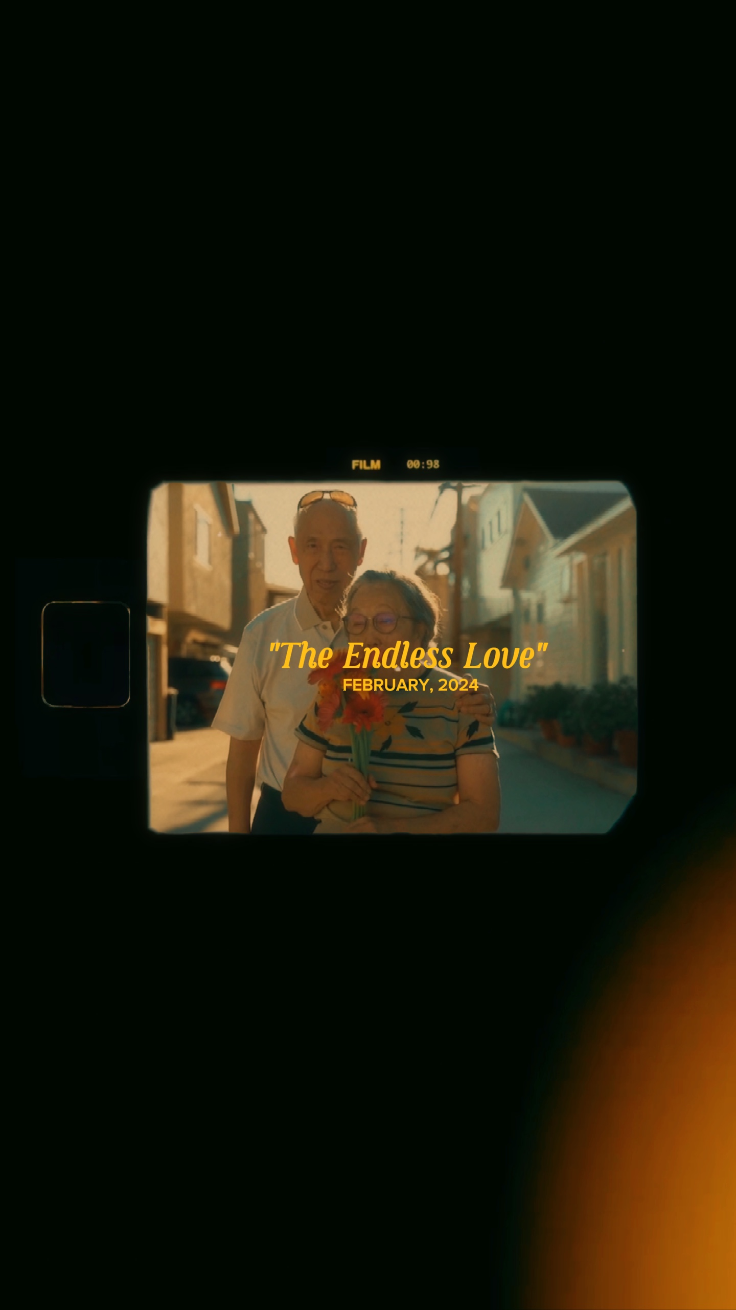 L'amour sans fin 