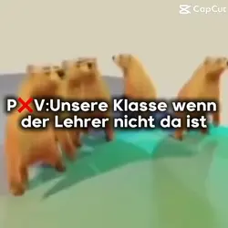 P❌V:Meine Klasse😂😭