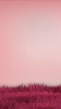 Ziya 