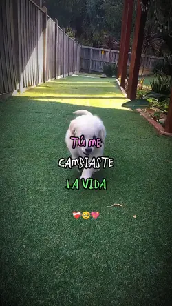 Tu me cambiaste...