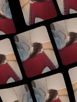 내 사랑 라온이