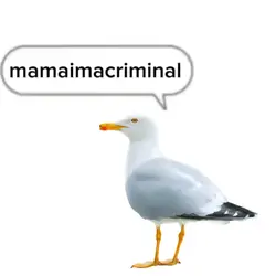 mamaimacriminal