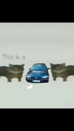 Toyota. .