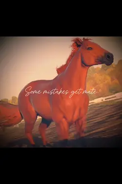 Horse slow mo