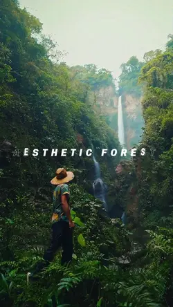 AESTHETIC FOREST