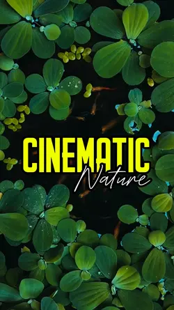 CINEMATIC