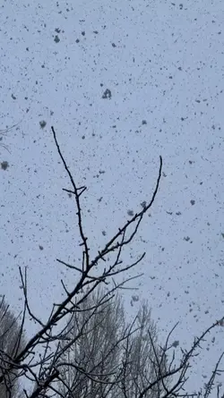 SNOW_TEMPLATE