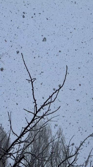 SNOW _ TEMPLATE