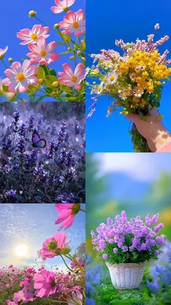 Spring Moment