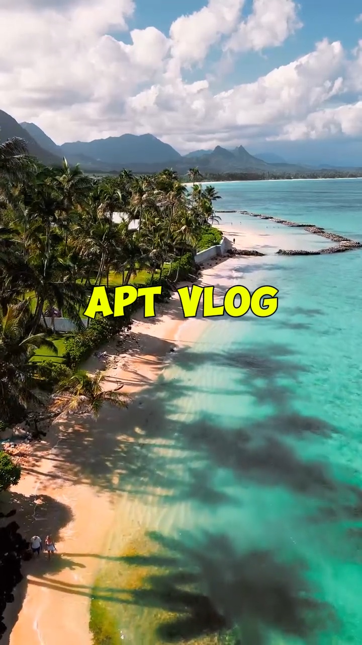 APT Vlog