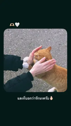 คบกันได้กี่เดือนแล้วง่ะ🤍