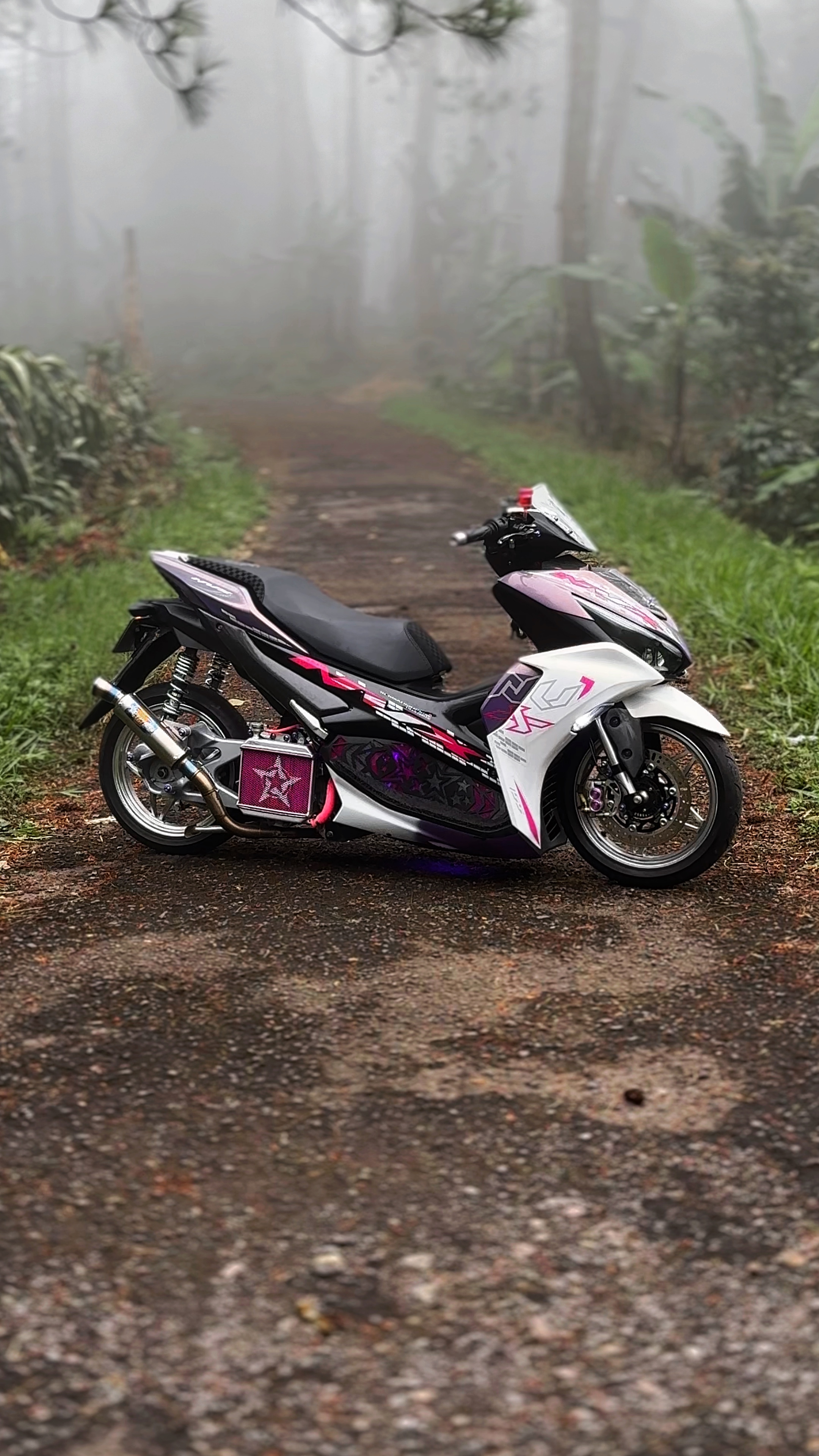 Cover Picture