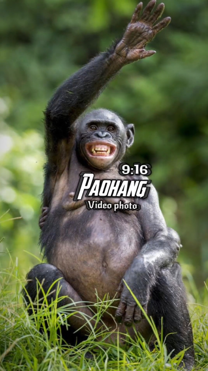 เพลง girl like me 