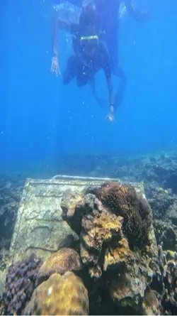 laut biru