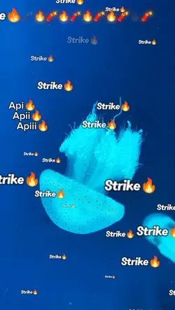api strike tiktok 