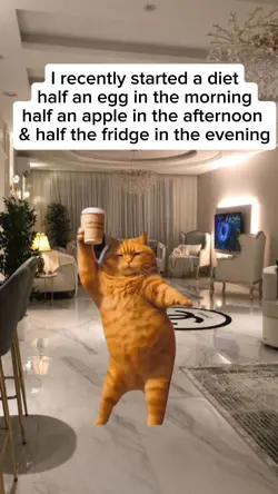 I started a diet