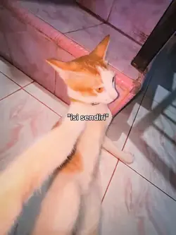 fotolive X kata kata