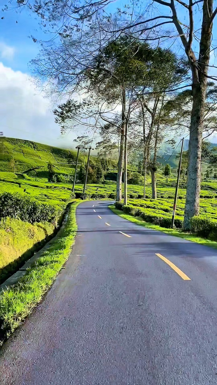 Vídeo da viagem 6
