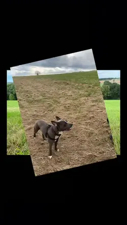 14 Clips hinzufügen